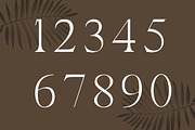 Avander | Modern Stylish, a Serif Font by Muntab_Art (Thumbnail 13 of 13)