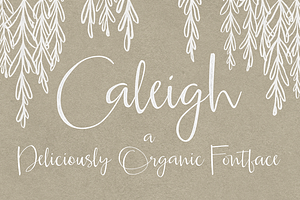 Caleigh Script Font With Bonus