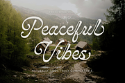 Monthera - Classy Script Font, a Font by Sronstudio (Thumbnail 12 of 17)