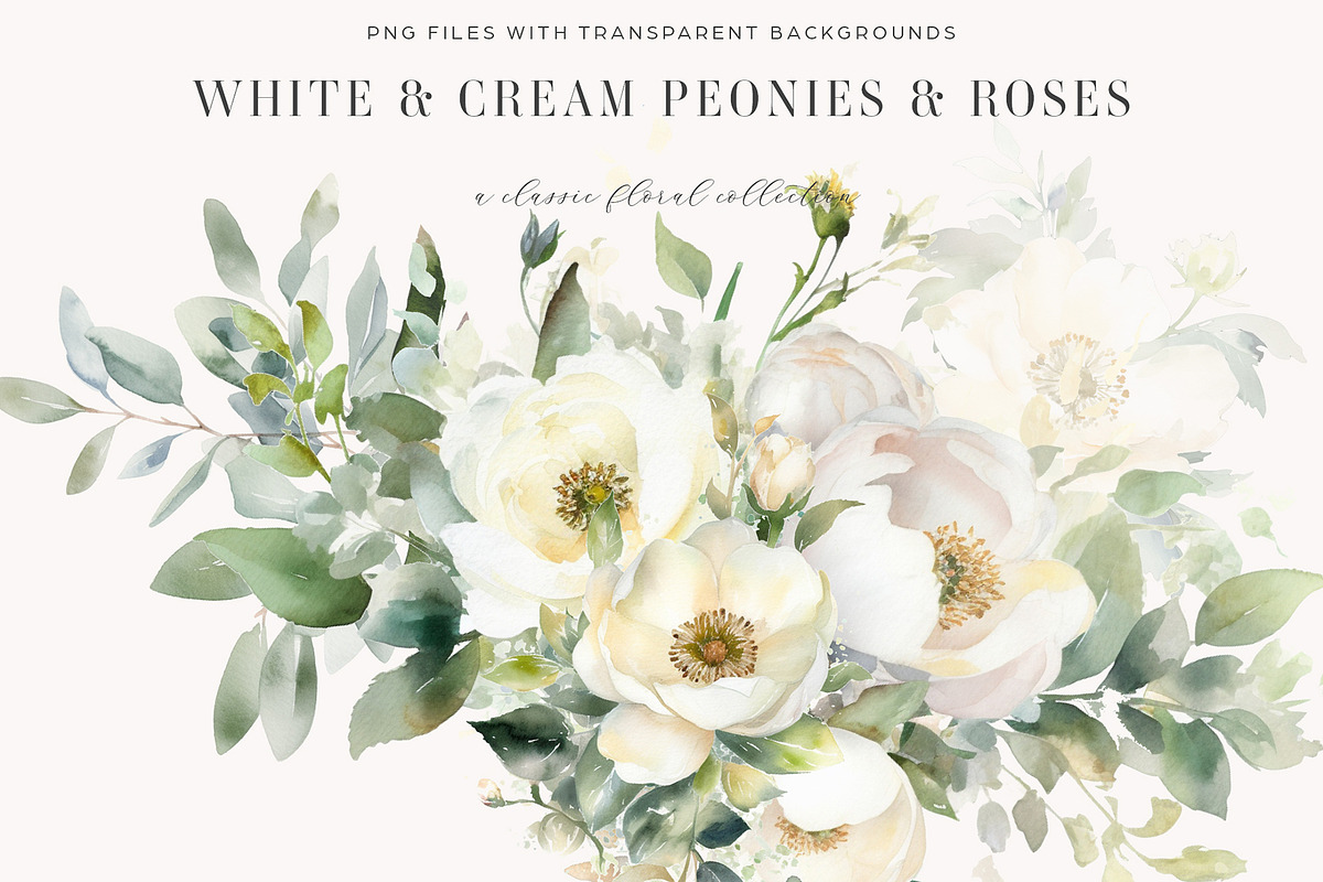 White and Cream Peonies and Roses, a Decorative Illustration by Twigs and Twine (Photo 1 of 6)