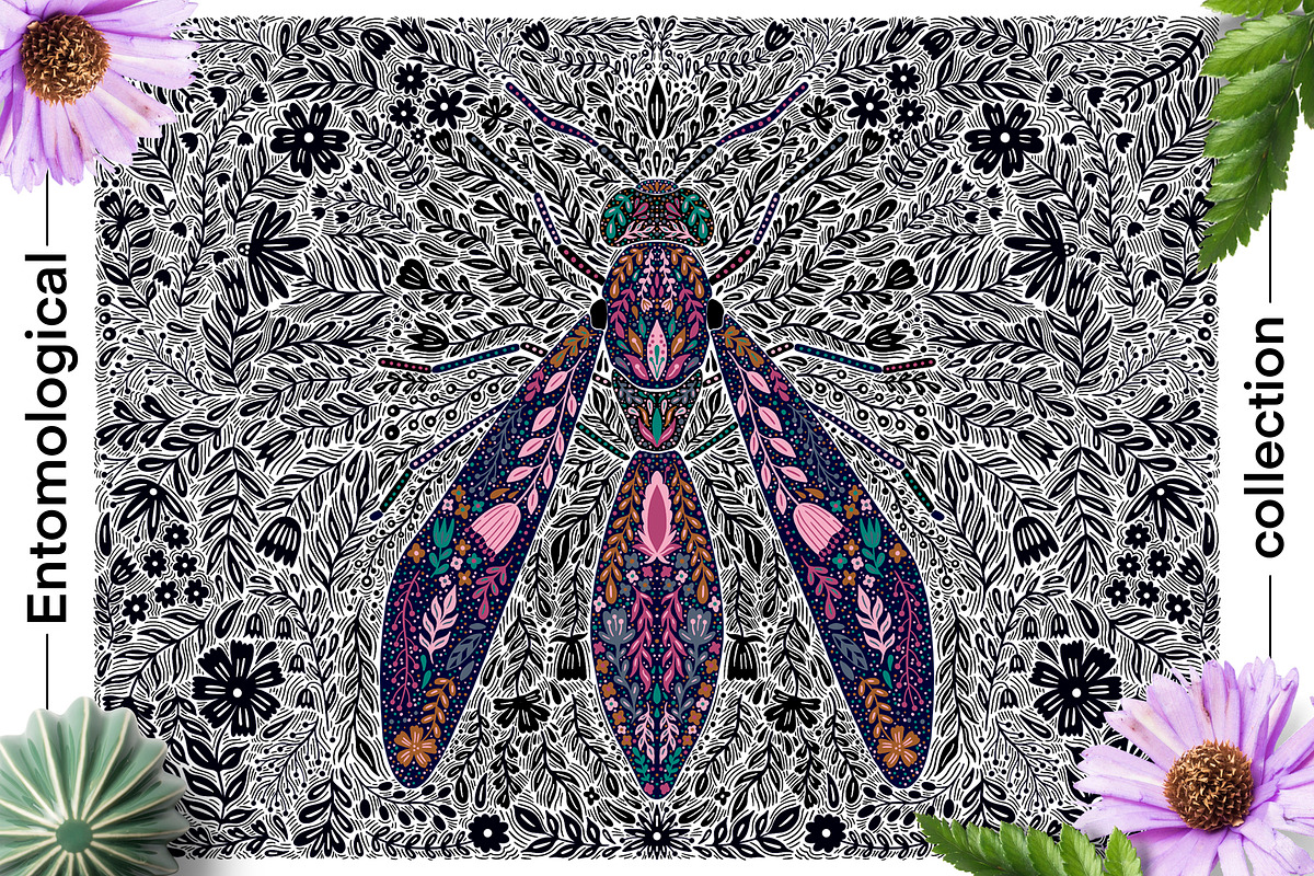 Entomological collection insect, a Decorative Illustration by Moonflora (Photo 13 of 13)
