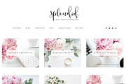 Splendid Wordpress Theme, a WordPress Template by brave + beautiful designs (Thumbnail 4 of 5)