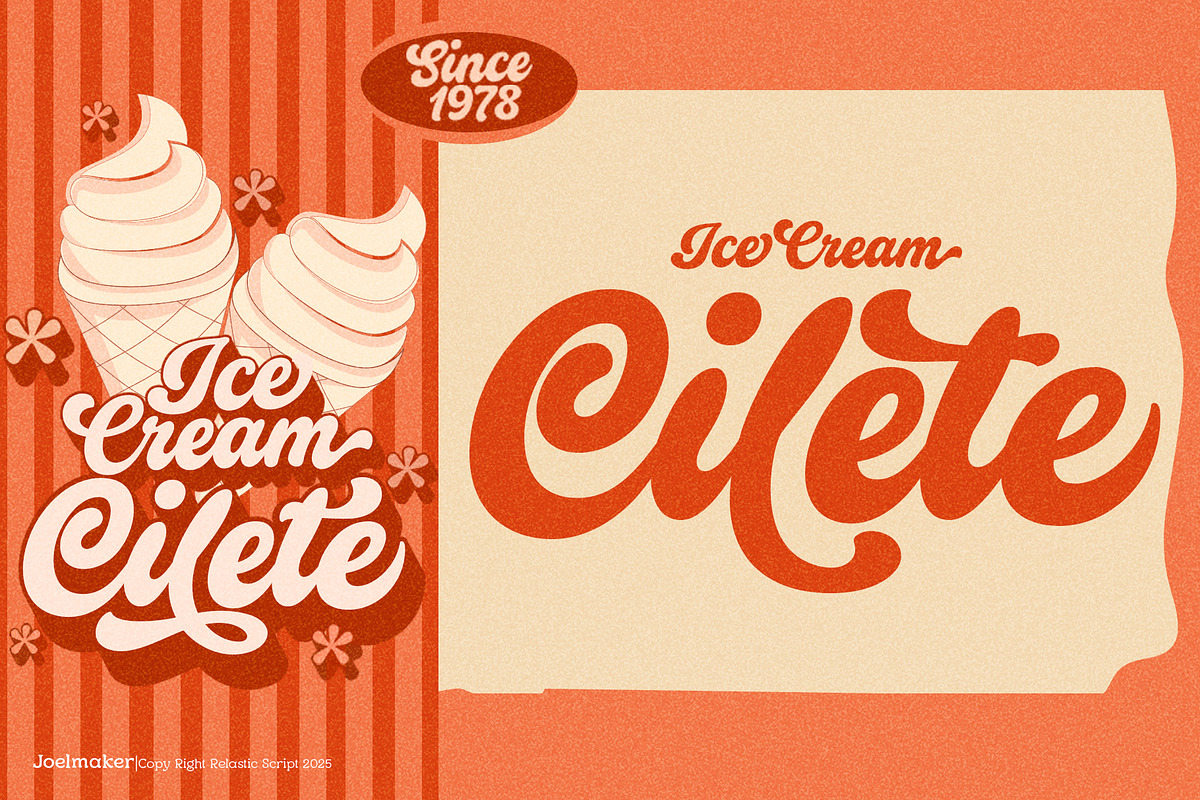 Relastic Script, a Script Font by joelmaker (Photo 2 of 18)