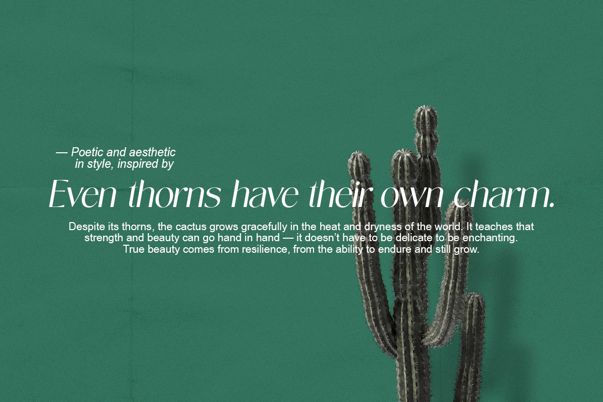 Novalisse, a Sans Serif Font by Pista Mova (Photo 13 of 16)