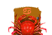 HOROSCOPE digital art ZODIAC SIGNS, an Animal Illustration by Dneprstock (Thumbnail 4 of 4)