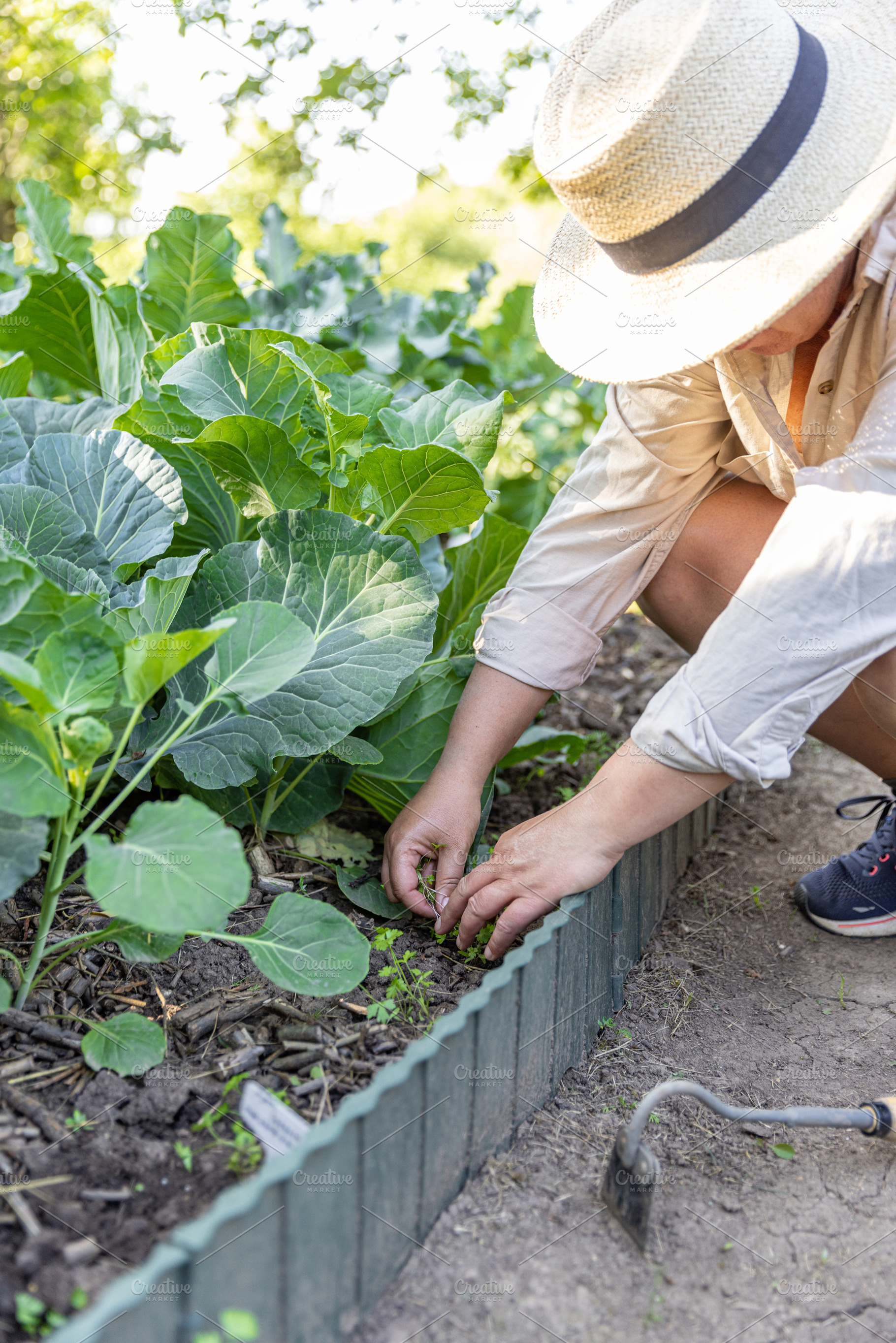 Woman tending her vegetable garden, a Photo by Grafvision photography