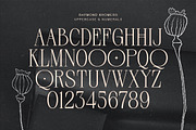 Raymond Khomers, a Sans Serif Font by Fargun Studio (Thumbnail 11 of 22)