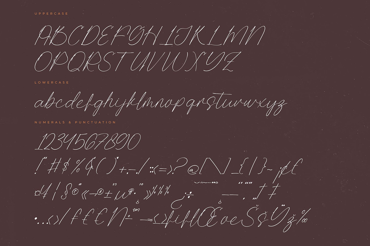 Quality Nosting Modern Signature, a Script Font by Letterena Studios Script (Photo 13 of 15)