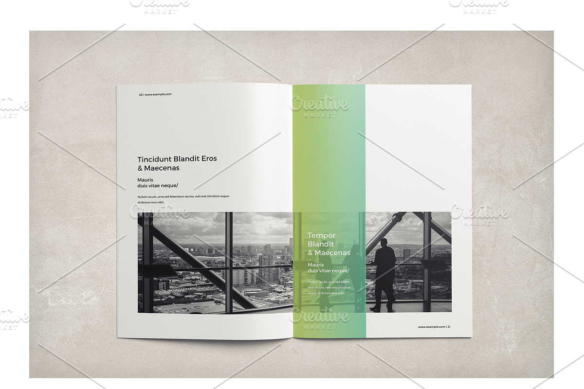 Multipurpose Business Brochure, a Brochure Template by ShapShapy (Photo 15 of 20)