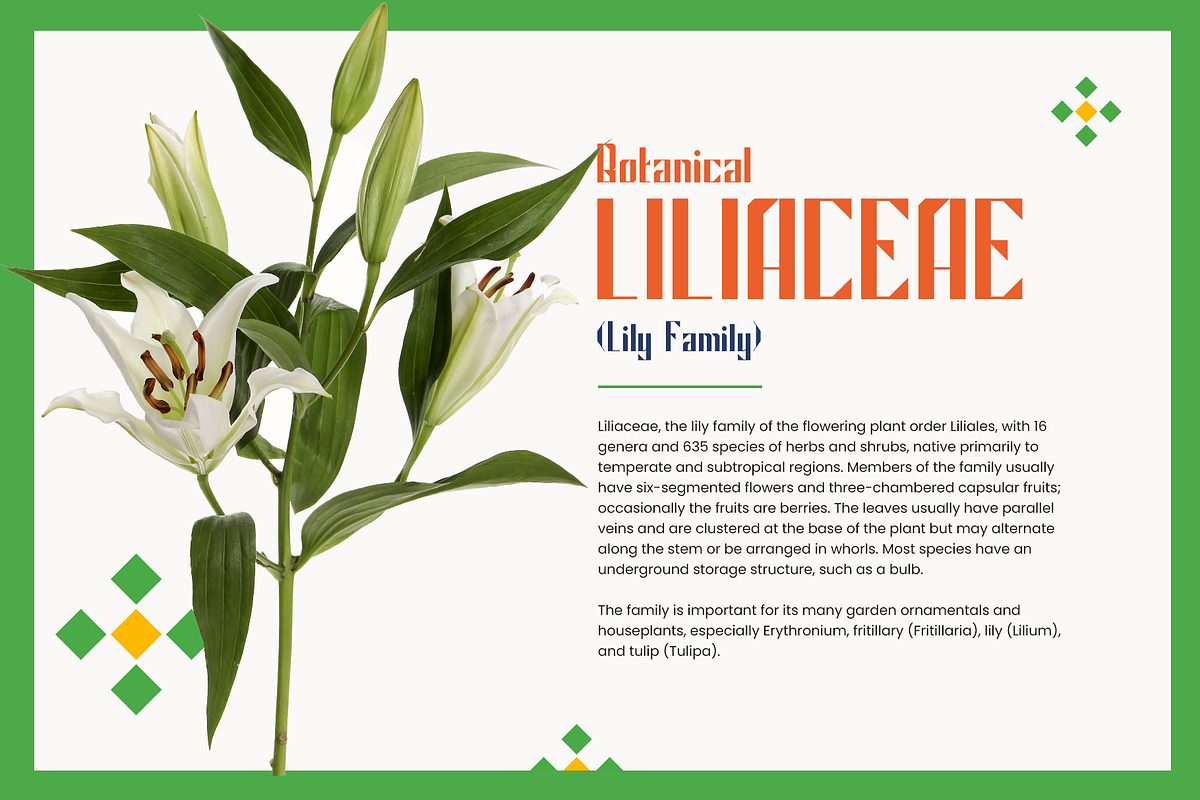 Mirsani font, a Sans Serif Font by ghozai studio (Photo 4 of 5)