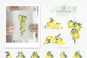 Lemon watercolor illustration, an Illustration by Fedulova Art (Thumbnail 3 of 14)