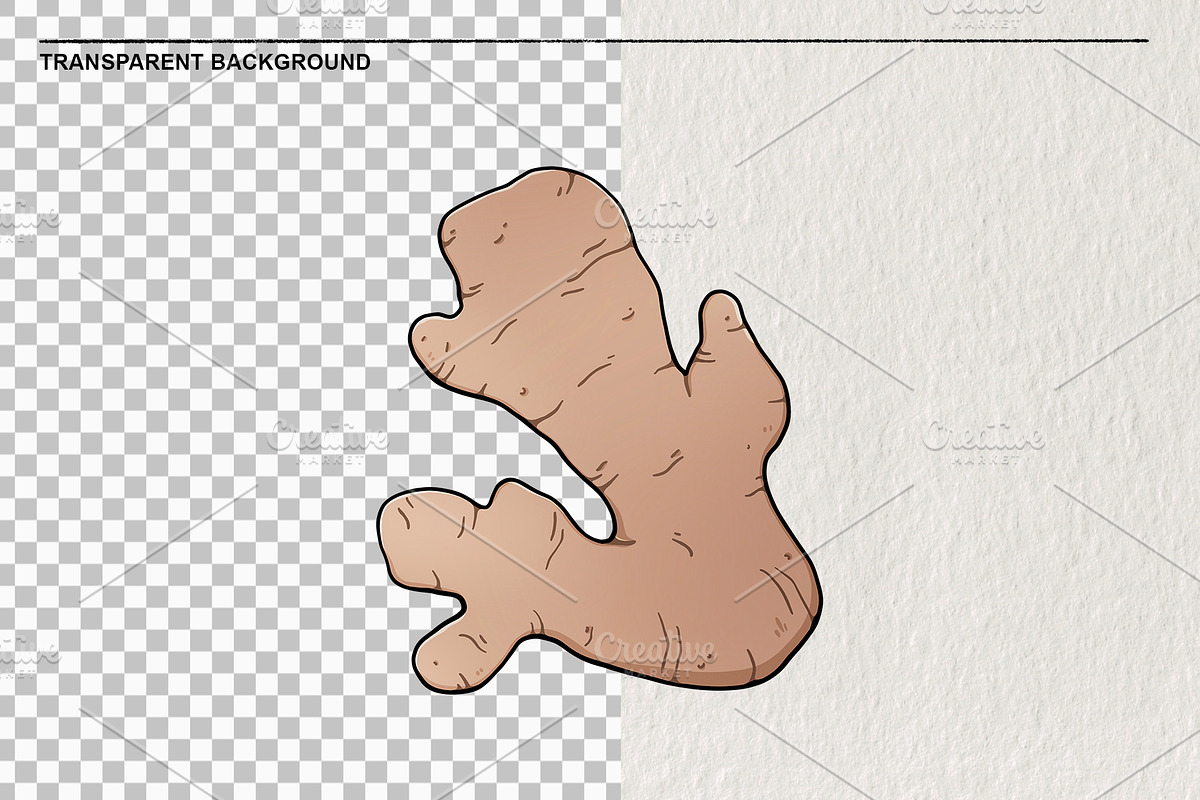 Ginger Set 10 PNG, a Food Illustration by LOKSKIH (Photo 2 of 3)