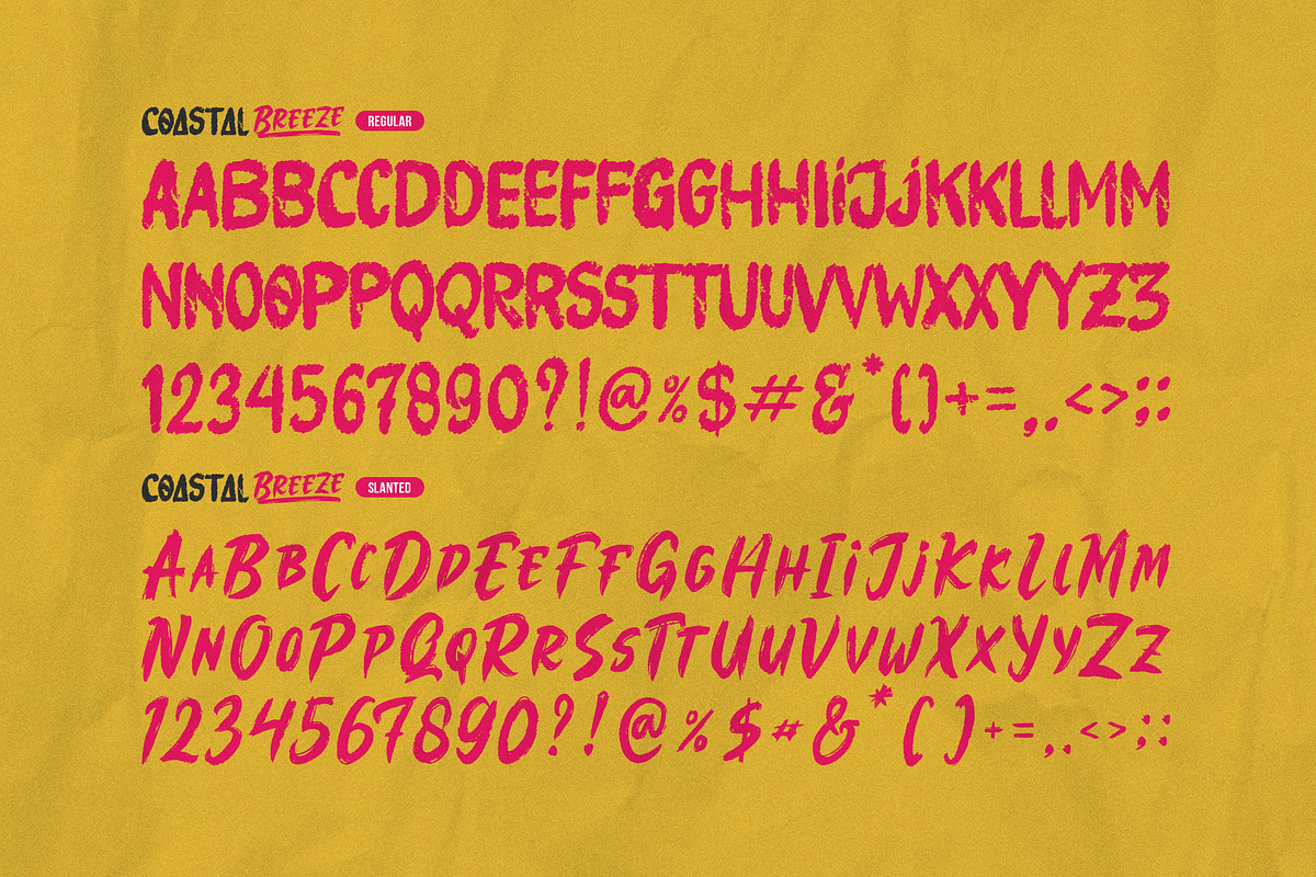 Coastal Threads | Brush Duo Font, a Handwritten Font by Denustudios (Photo 12 of 14)