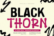 Black Thorn - Font Duo, a Script Font by Alpaprana (Thumbnail 1 of 11)