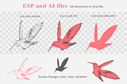 Hummingbird outline, a Decorative Illustration by Aksol (Thumbnail 3 of 4)