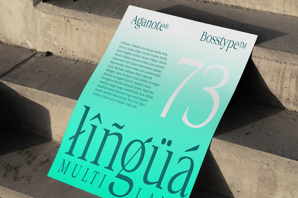 Aganote Typeface | 91 Style Font, a Serif Font by Bosstype Studio (Photo 11 of 12)