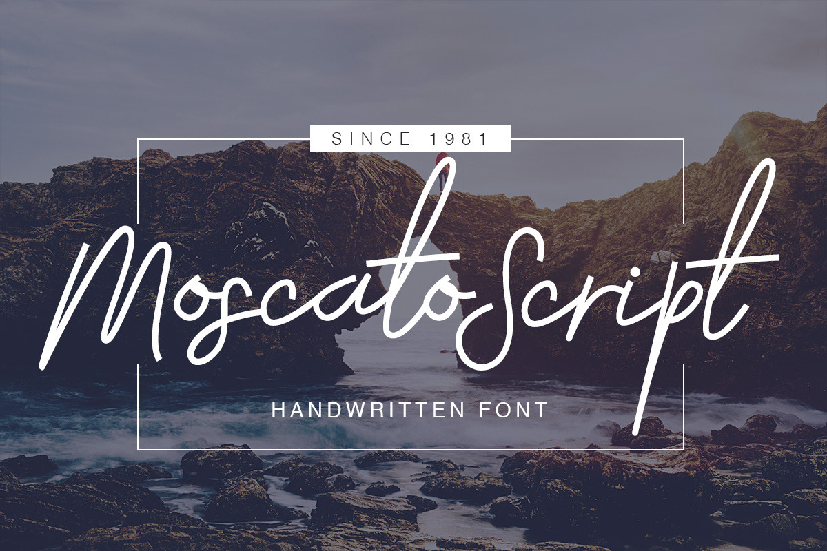 Treasure 50%OFF - Products Bundle, a Handwritten Font by FactoryType Studio (Photo 13 of 15)
