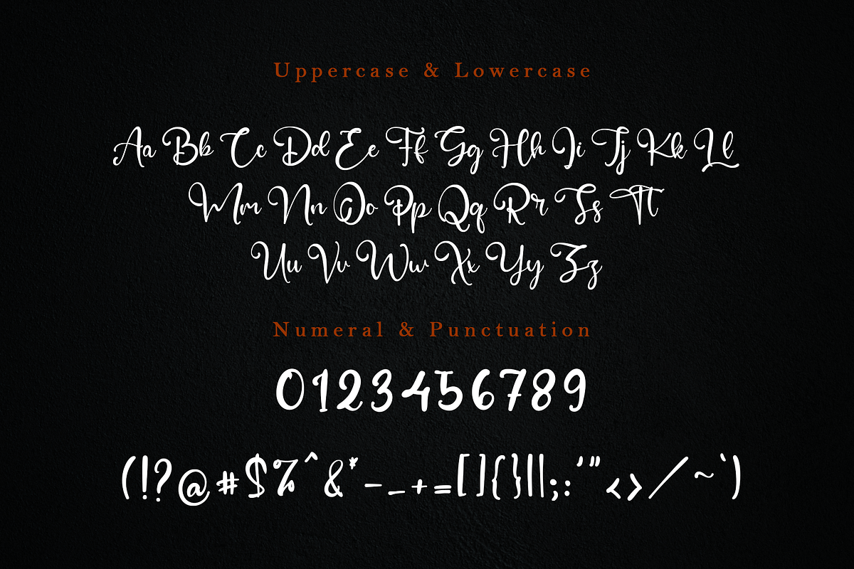 Gillian Wallace - A Modern Script, a Script Font by overlaytemplates