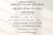 Dingbat | Script Font, a Handwritten Font by Scratchones (Thumbnail 7 of 9)