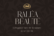MEROVEL – Elegant Retro Serif, a Serif Font by ToniStudio (Thumbnail 12 of 13)