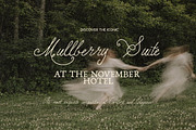 Handwritten Elegant Serif & Script, a Handwritten Font by Laras Wonderland (Thumbnail 3 of 12)