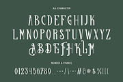 Molvicc Decorative Display Typeface, a Serif Font by Maulana Creative (Thumbnail 4 of 7)
