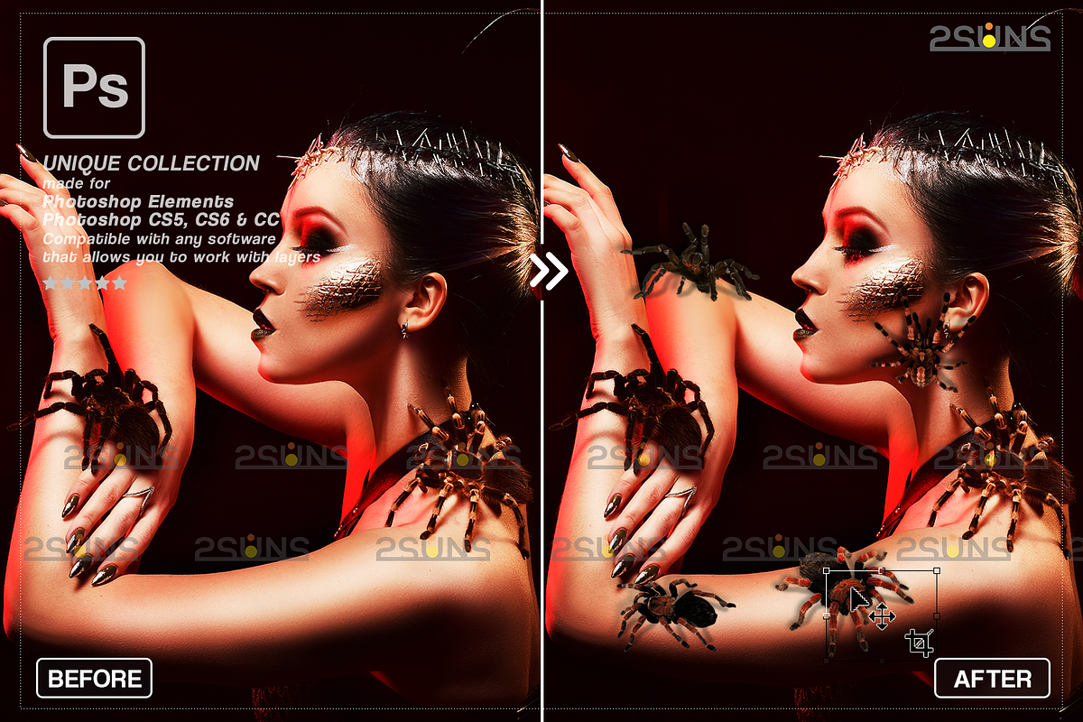 Spider Photoshop overlays, an Object Graphic by 2SUNS (Photo 8 of 9)