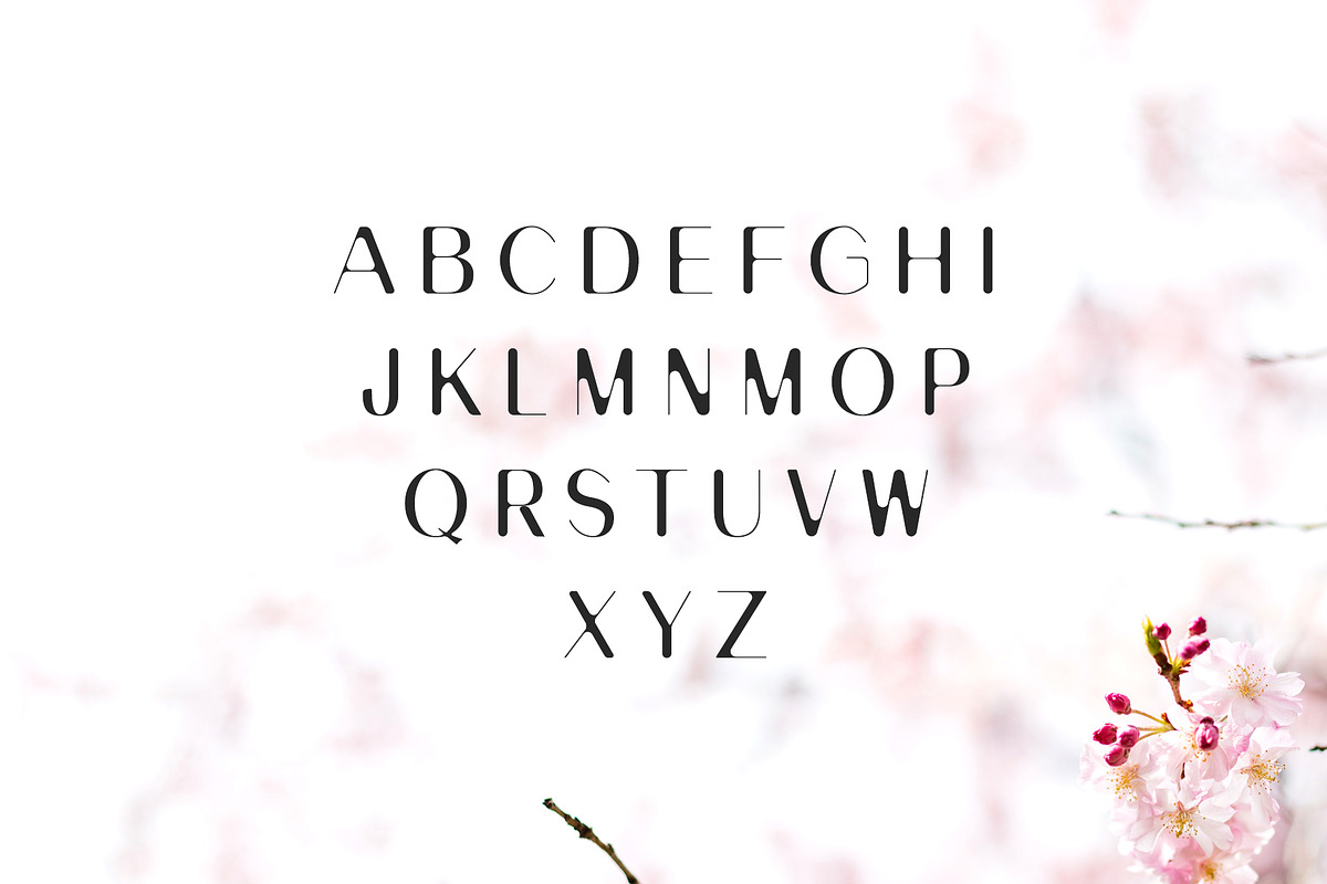 Banny Sans Serif Font Family preview 2
