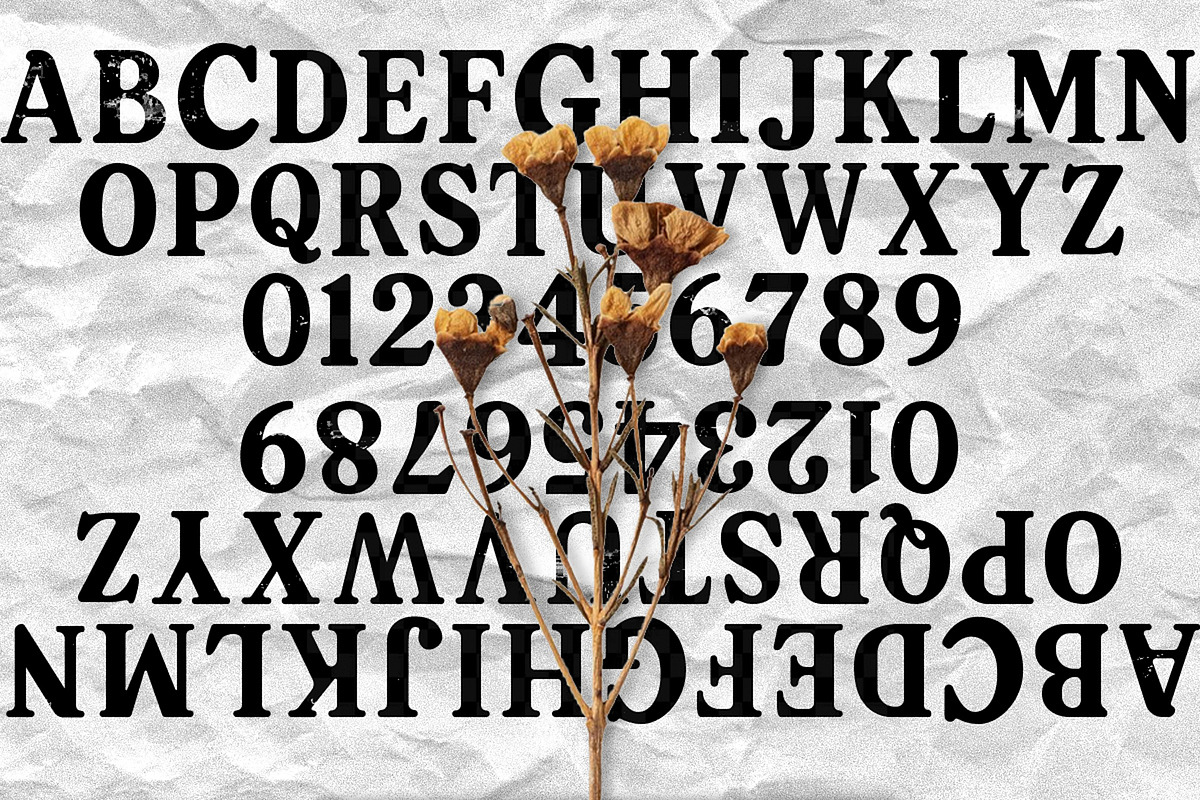 Retro Bloom  Font, a Font by Mehedi Hasan (Photo 5 of 5)