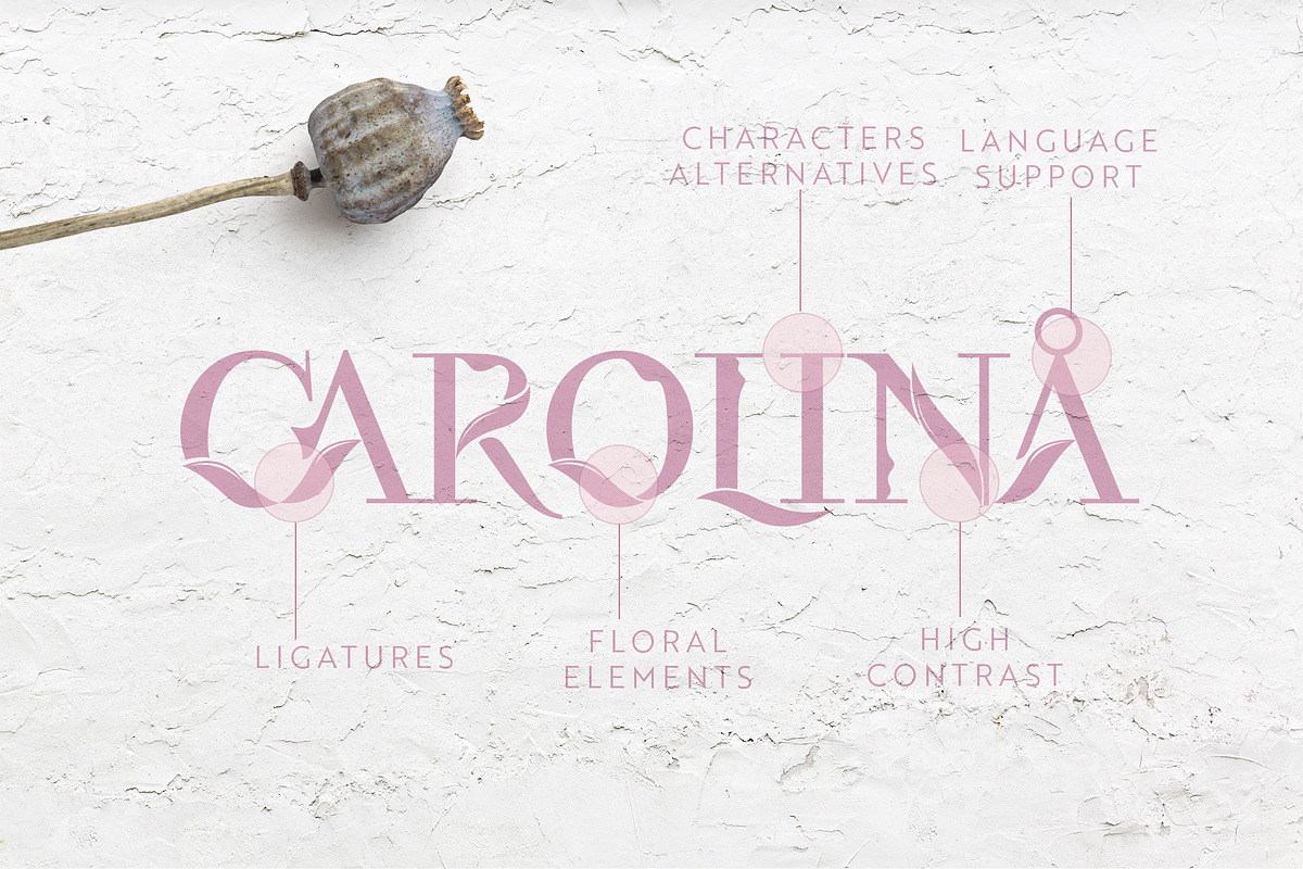 Flora | Modern Display Font, a Serif Font by Kandella's Art (Photo 4 of 18)
