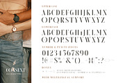 Consent - Editorial Serif Font, a Serif Font by Sarid Ezra (Thumbnail 10 of 10)