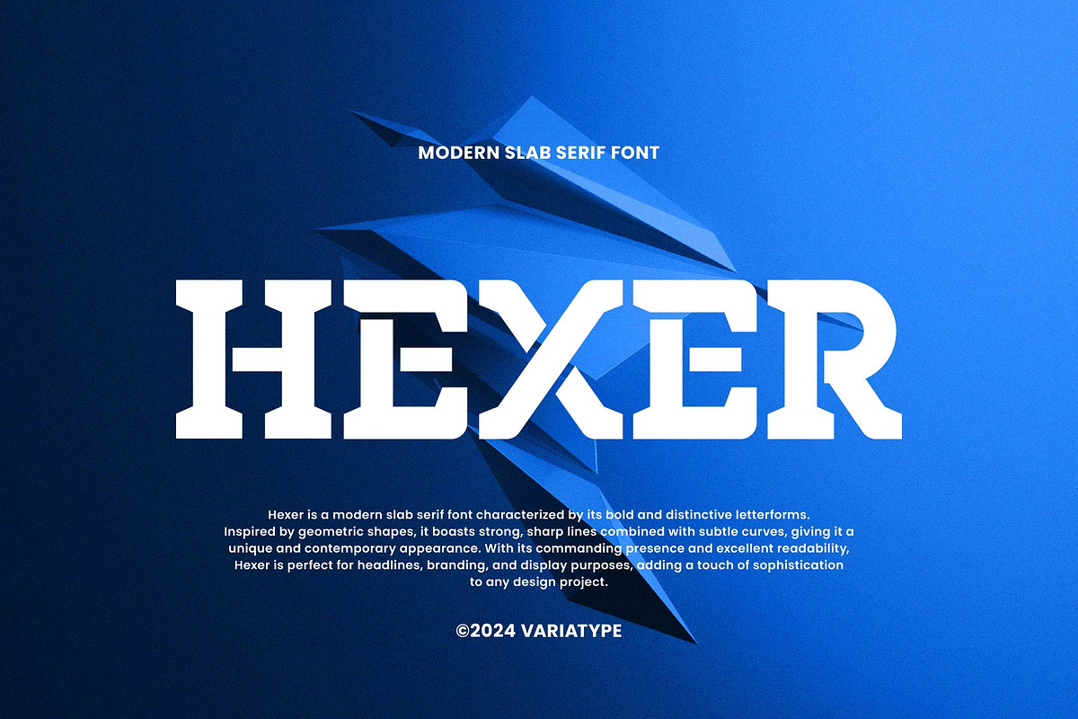 Hexer - Modern Slab Serif, a Slab Serif Font by Variatype (Photo 1 of 10)