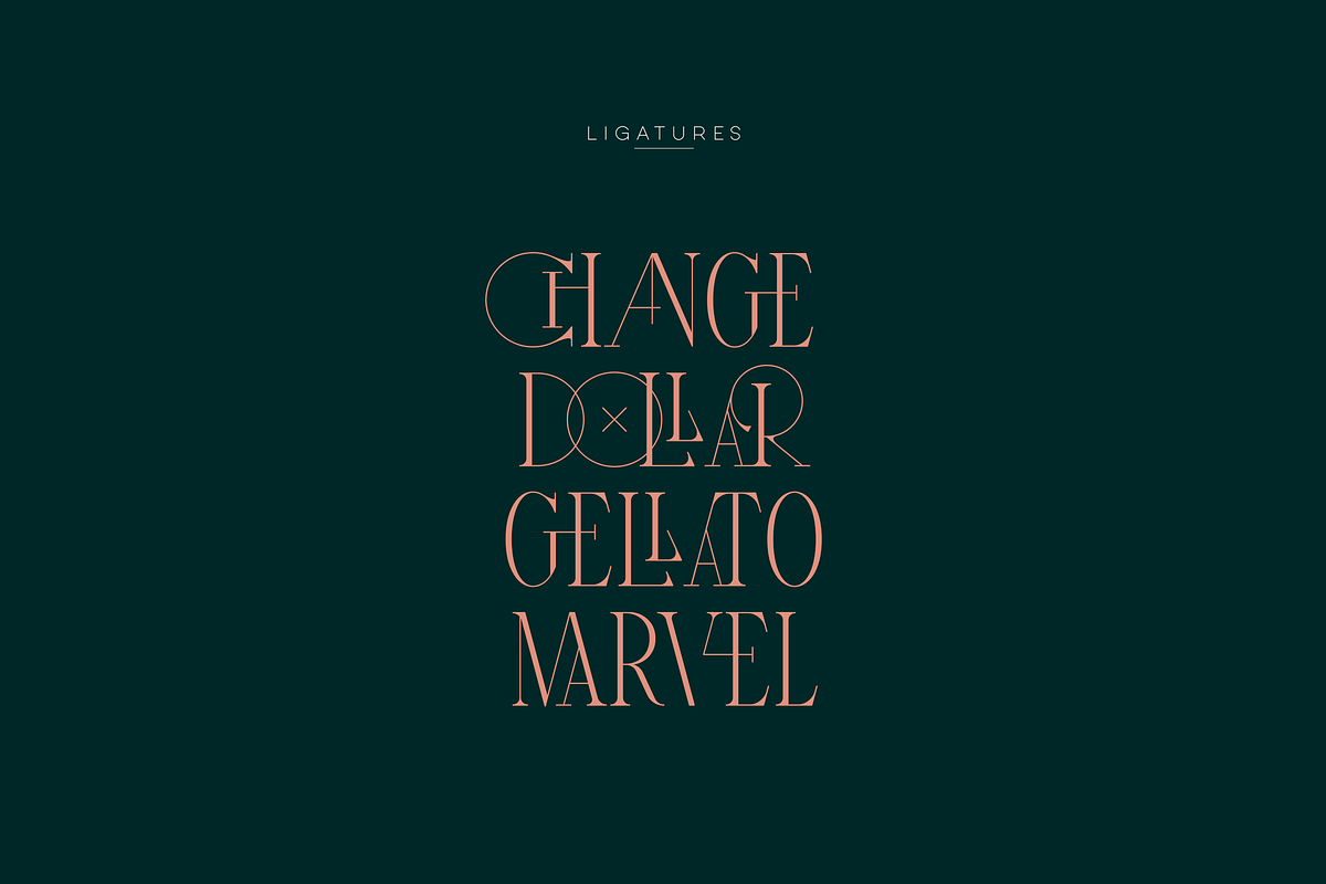 SALE! Maturation Typeface - font duo, a Serif Font by VP Fonts (Photo 13 of 16)