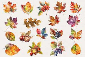 Autumn Leaves Clipart. AI