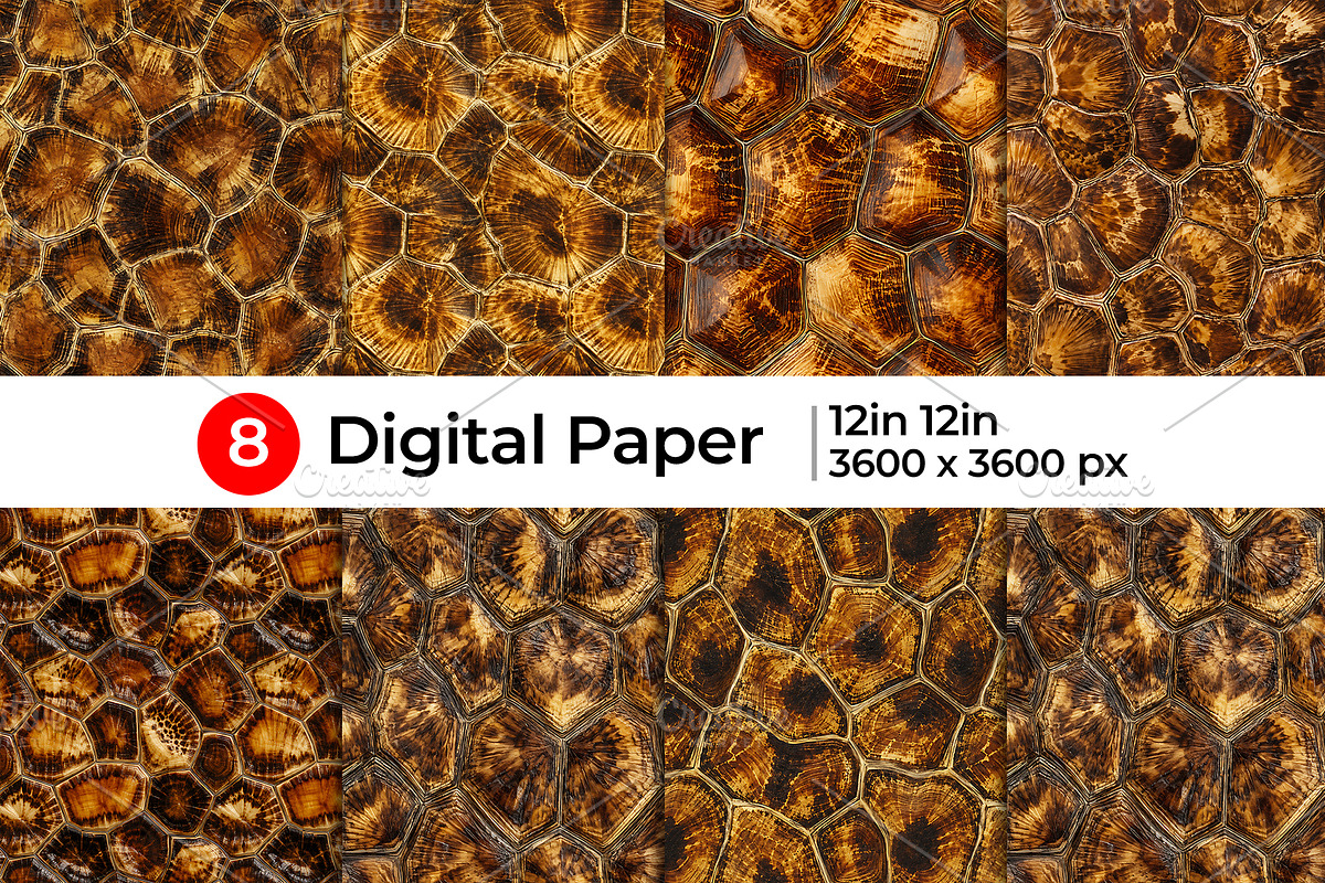 Tortoise Shell Texture Pattern, a Pattern Graphic by Artonix (Photo 1 of 3)