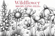 Watercolor wildflower clipart, an Illustration by Designworld (Thumbnail 1 of 8)