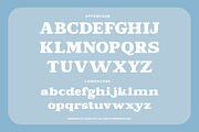 Lamonik Display Serif Font, a Serif Font by Rasio Studio (Thumbnail 2 of 11)