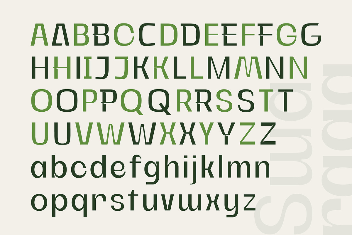 Swaraga - Modern Corporate Display, a Sans Serif Font by Lettertype Studio (Photo 2 of 13)