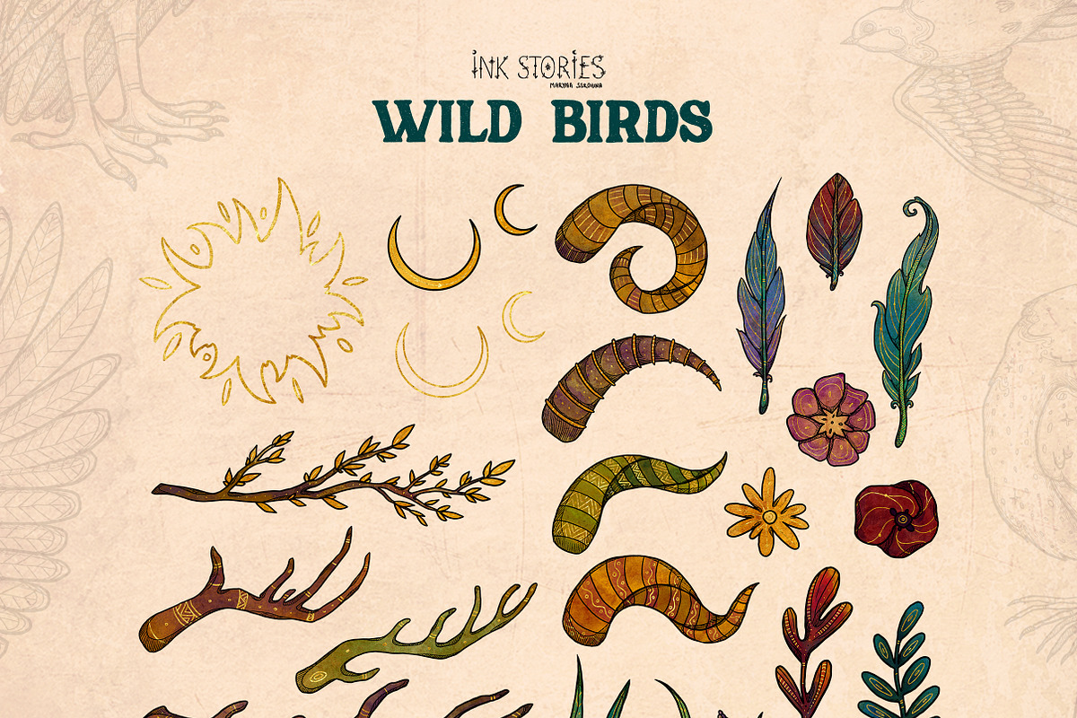 Wild Birds, an Animal Illustration by Ink Stories (Photo 6 of 20)