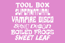 6 Font Bundle