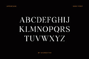 Butcherly Elegant Serif Font, a Serif Font by UICreative (Thumbnail 6 of 13)