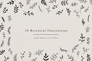 Botanical Hand Drawn Illustrations, a Decorative Illustration by Irene Florentina Design (Thumbnail 1 of 5)