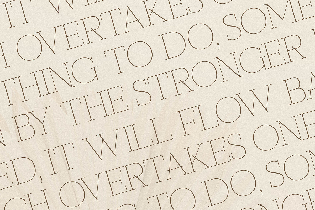 Callidora New Modern Serif, a Serif Font by Storytype Studio (Photo 10 of 15)