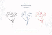 Baroque Vintage Ornamental set, a Decorative Illustration by Yuliia Lashevska (Thumbnail 10 of 19)