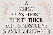 Anria Typeface, a Serif Font by Khoir (Thumbnail 3 of 12)