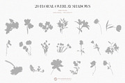 Floral Shadows Overlays, a Graphic by Youandigraphics (Thumbnail 12 of 14)