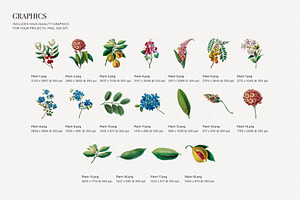 Botanical Elegant English Pattern