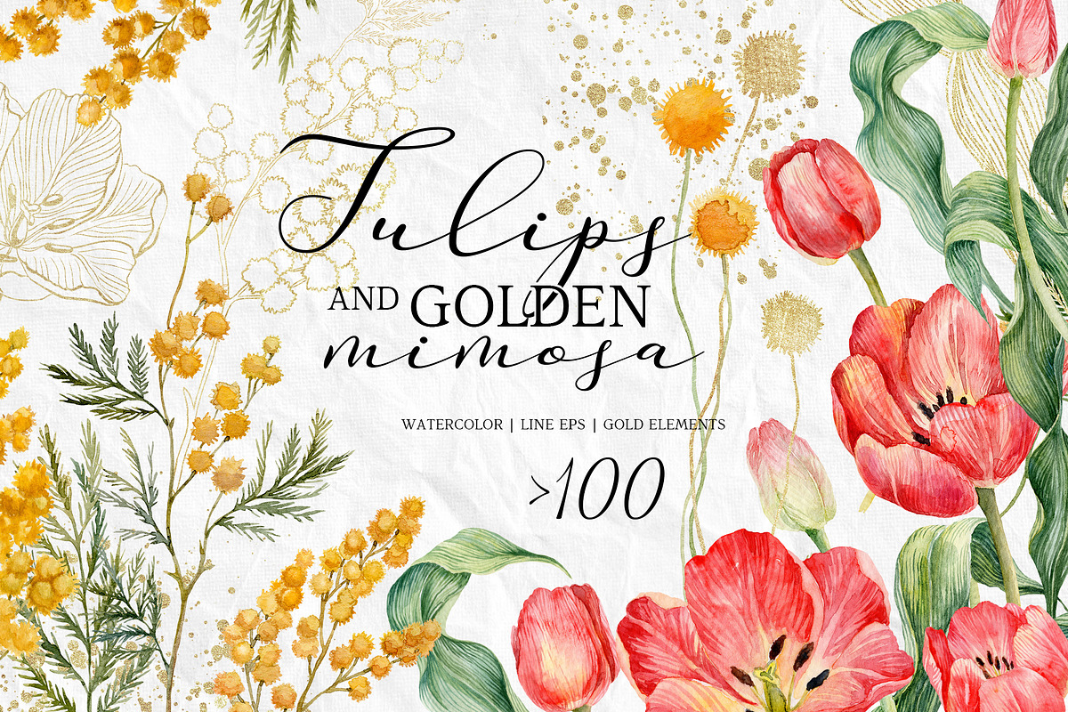 Watercolor spring tulips and mimosa., an Illustration by RushkinaAntonina (Photo 1 of 7)