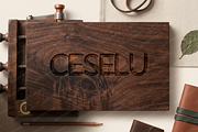 Ceselu - A Refined Luxury Serif, a Serif Font by Astuti Studio (Thumbnail 14 of 24)