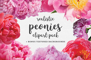 Realistic Peonies Clip Art Pack